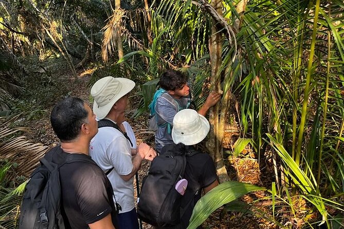 EcoHike to private beach, Jungle Walk to see plants & animals - The Hidden Beach Break: Where the Day Changes Pace