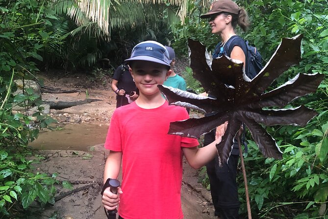 EcoHike to private beach, Jungle Walk to see plants & animals - Culture Notes You Might Catch Along the Way