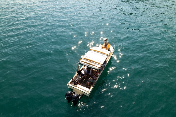 Explore Banderas Bay: Exclusive Boat Journies - Starting at Marina Los Peines, Isla Iguana, and why the timing window matters