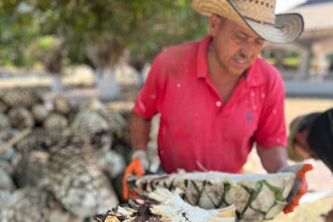Finca 18 Puerto Vallarta Tequila Tour + Chocolate Pairing - What you’ll see on the ranch tour, agave fields included