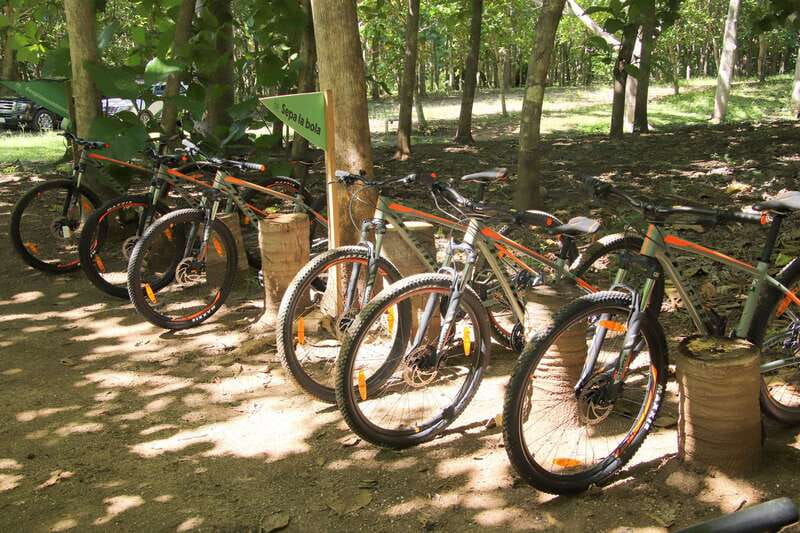 From Puerto Vallarta: Jungle Mountain Bike Tour - Price and value: about $87 for a 3-hour, small-group mountain bike day