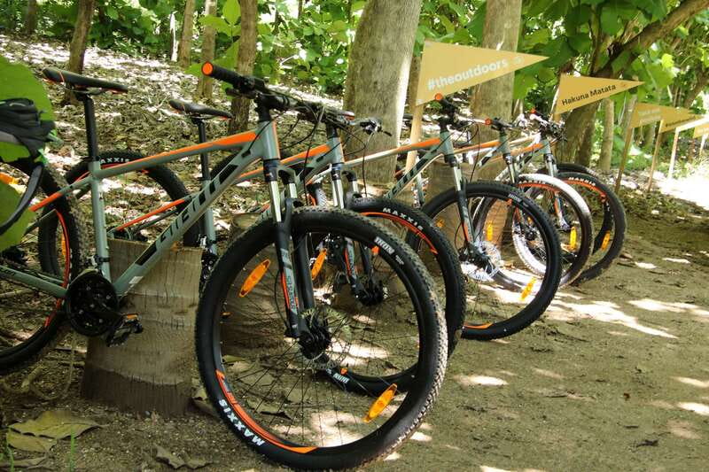 From Puerto Vallarta: Jungle Mountain Bike Tour - The core ride: Sierra de Vallejo trails with Riviera Nayarit views