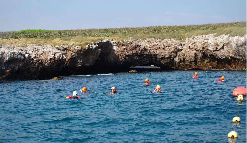 From Puerto Vallarta: Marieta Islands Snorkeling Trip - Who this Marietas snorkeling trip is best for
