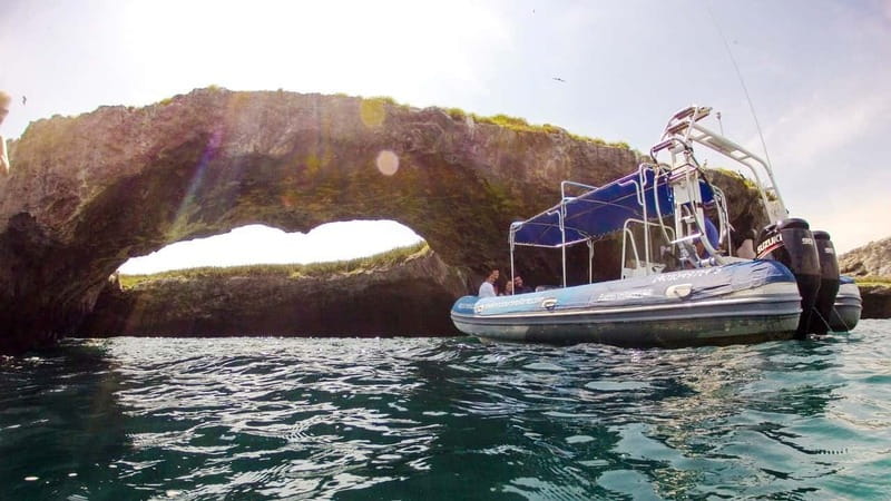 From Puerto Vallarta: Marieta Islands Snorkeling Trip - Getting to Ecotours de México, and how the 5-hour format works