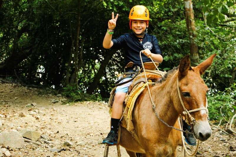 From Puerto Vallarta & Nuevo Vallarta: Canopy Zipline Tour - Price and Value: Is $99 Fair for What You Get?