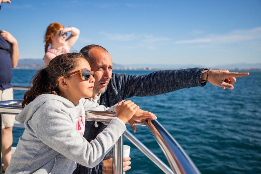 From Puerto Vallarta/Nuevo Vallarta: Whale Watching Cruise - What you might see in the Pacific: humpbacks, calves, dolphins, and fin slaps