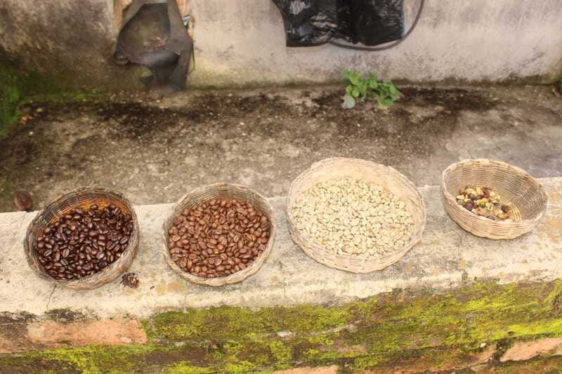 From Puerto Vallarta: San Sebastian del Oeste with Lunch - Organic tequila factory: see agave to distillation, then taste