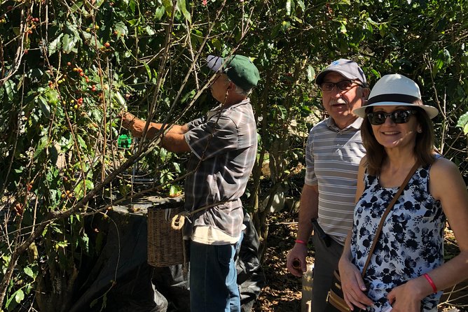 Full-Day Private Tour to San Sebastian del Oeste with Guide - Included Perks You’ll Feel During The Day