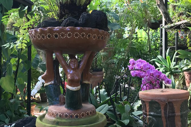 Full Day Puerto Vallarta Botanical Garden Tour - South Coast Drive Before You Hit the Gardens