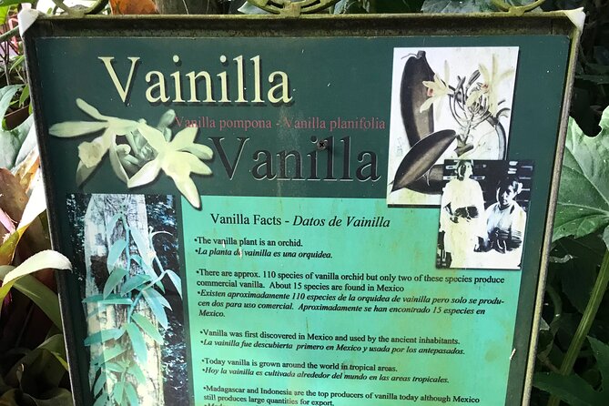 Full Day Puerto Vallarta Botanical Garden Tour - Canyon River Hikes: Boulders, Pools, and Optional Swimming