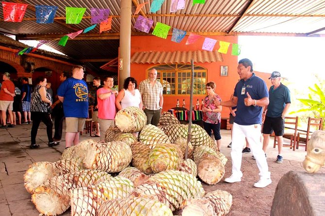 Full-Day Puerto Vallarta City Highlights Tour - Parroquia de Nuestra Senora de Guadalupe: Iconic Church Stop, Solid Time Window