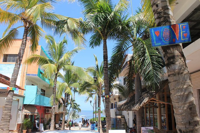 Full-Day Sayulita and San Pancho from Puerto Vallarta - The 6-Hour Reality Check: Beach Time vs. Bus Time