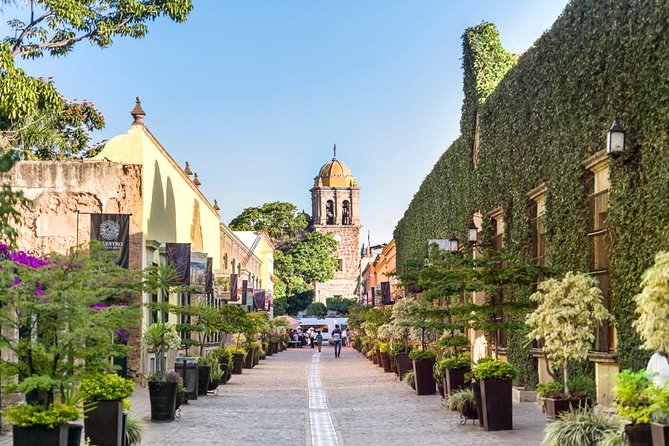 Full-Day Tequila, Jalisco from Puerto Vallarta with Tequila Experience - Key Highlights That Matter on the Ground
