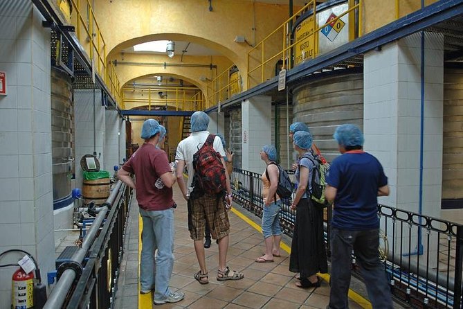 Full-Day Tequila, Jalisco from Puerto Vallarta with Tequila Experience - Breakfast Included, Lunch Not Included: Plan Your Food Strategy