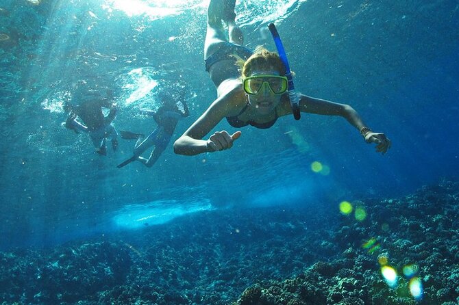 Full Day Tour Isla Marietas with Meals and Open Bar - Meals and drinks: what “breakfast and lunch” looks like on this tour