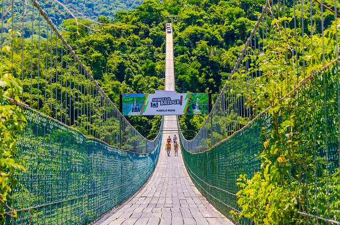 Full Zip Line Tour + Mules + Jorullo Bridge - Riding a mule, then finishing with tequila tasting