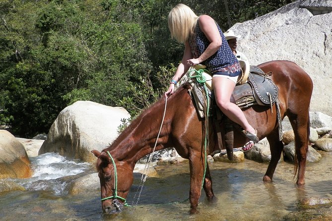 Fun Horseback Tour in Mismaloya - The Ride: Jungle River Trails, Small Stream Crossings, and Calm Horses
