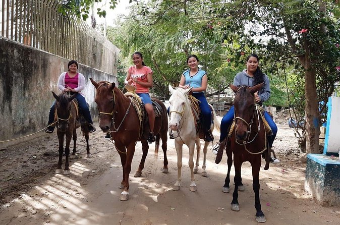Fun Horseback Tour in Mismaloya - Value Check: What You Get for Your Time