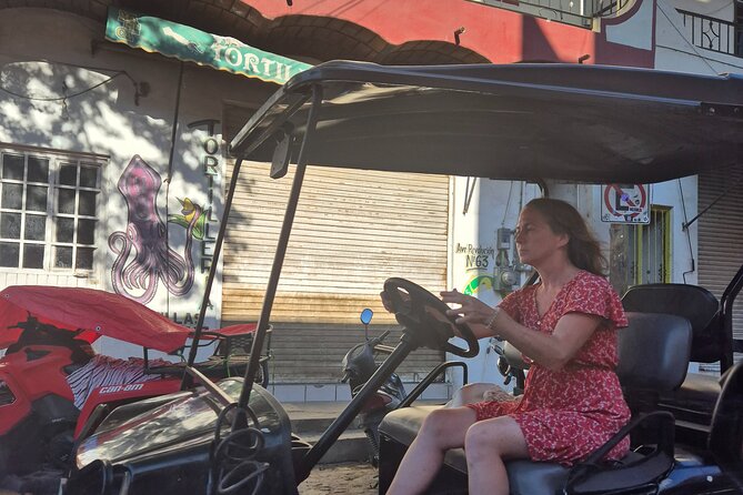 Golf Cart Rental in Sayulita - Service Reality Check: Orlando Sounds Great, But Timing Can Swing