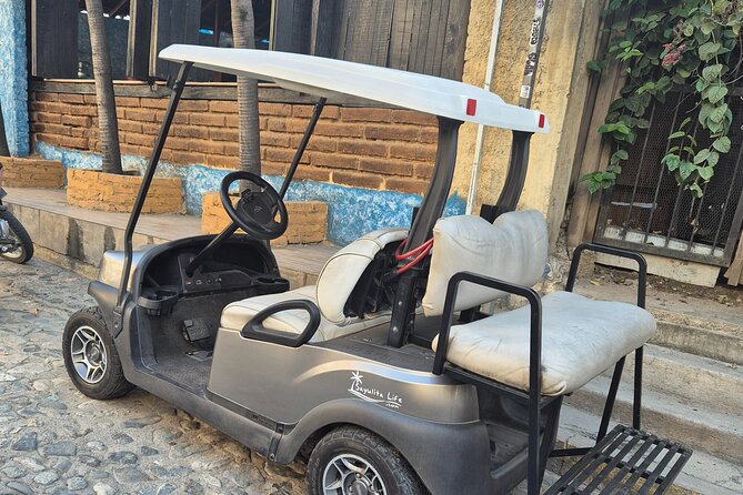 Golf Cart Rental in Sayulita - Who This Golf Cart Rental Fits Best