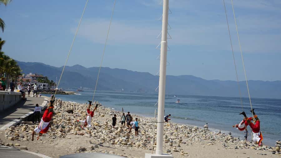 Guided tour of Vallarta in one day - Tequila factory and tasting: what you are really paying for