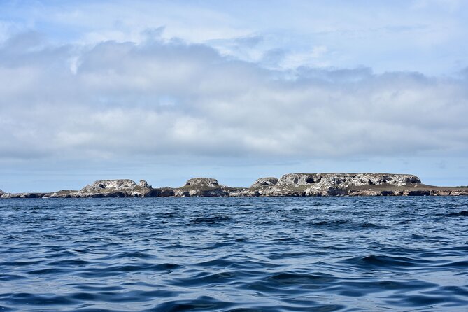 Half-Day Tour to Marietas Islands, Playa Nopalera by Speedboat - What to bring and how to stay comfortable on a speedboat day
