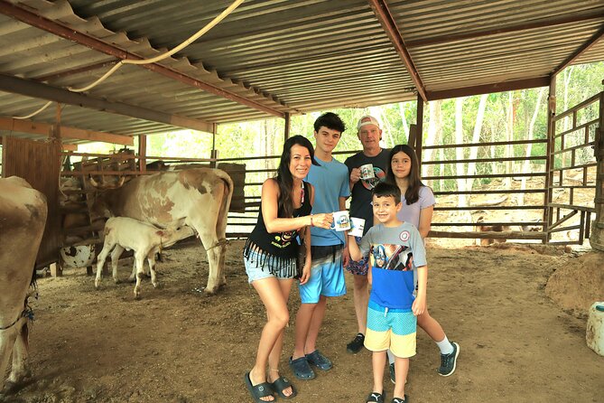 Hands-on Mexican Farm Experience: from Cow to Cheese - Key highlights