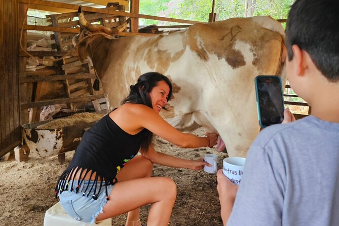 Hands-on Mexican Farm Experience: from Cow to Cheese - A test horse ride in the countryside
