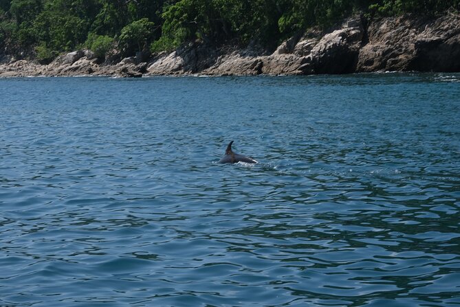 Hidden Beach Snorkeling Adventure - Who this tour fits best (and who might skip it)