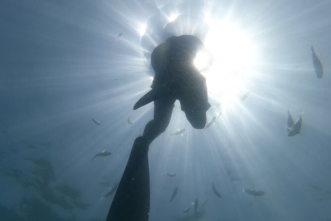 Hidden Beach Snorkeling Adventure - Two snorkel stops at a human pace: Majahuitas and Playa Colomitos