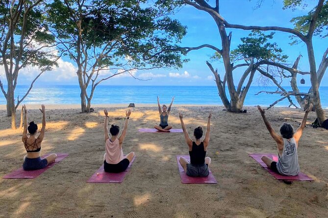 Hike and Yoga Jungle Experience in Mexico - Key highlights I’d plan my trip around