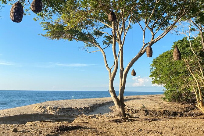 Hike and Yoga Jungle Experience in Mexico - Timing, duration, and what your schedule should look like