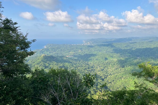 Hike to Monkey Mountain (Transportation & fresh coconut Included) - Monkey Mountain Trail Prep: What the 8 km Hike Really Means