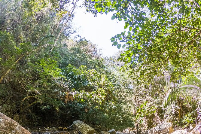 Hiking Adventure: River Trails & Waterfall Wonders - Puerto Vallarta river trails: why this hike is worth your time