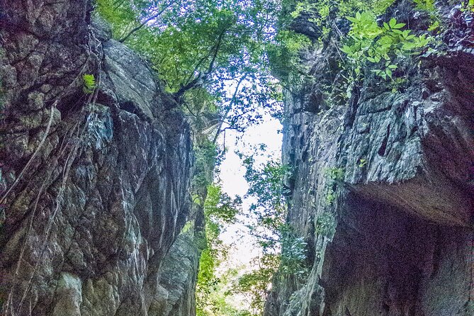 Hiking Adventure: River Trails & Waterfall Wonders - Waterfall wonders: the cool-down moment and swim time