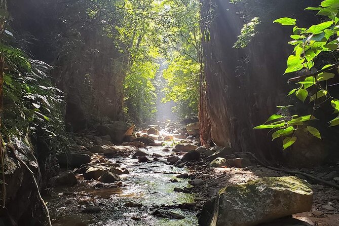 Hiking Adventure: River Trails & Waterfall Wonders - Welcome drink and tequila tasting: why it’s more than a bonus
