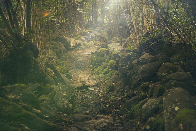 Hiking Adventure: River Trails & Waterfall Wonders - Price and value: is $77 a good deal for this package?