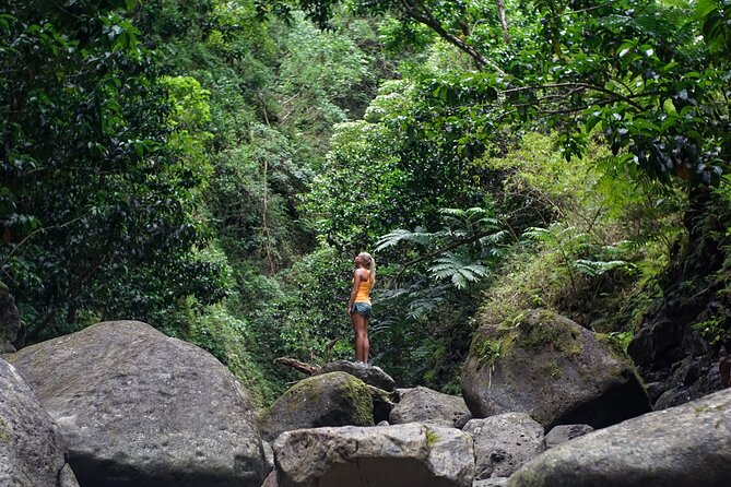 Hiking Adventure: River Trails & Waterfall Wonders - Who this tour suits best in Puerto Vallarta