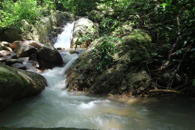 Hiking Adventure: River Trails & Waterfall Wonders - The day run: start time, meeting point, and group size