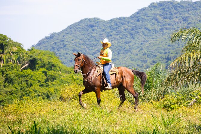 Horseback Riding Experience in Puerto Vallarta - The World’s Longest Vehicular Suspension Bridge Walk