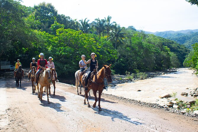 Horseback Riding Experience in Puerto Vallarta - Price and Value: What $149.61 Buys You