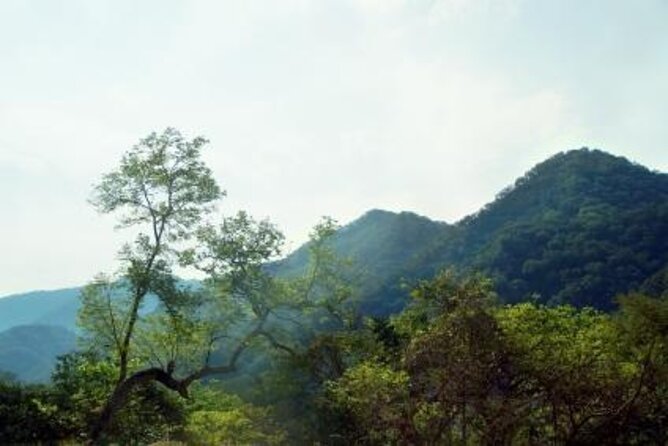 Horseback Riding Experience in Sierra Madre Mountains - Key highlights to notice before you book