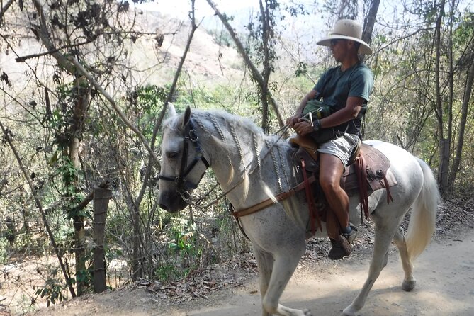 Horseback Riding Experience in Sierra Madre Mountains - Morning vs Afternoon: Choosing the Right Time Slot