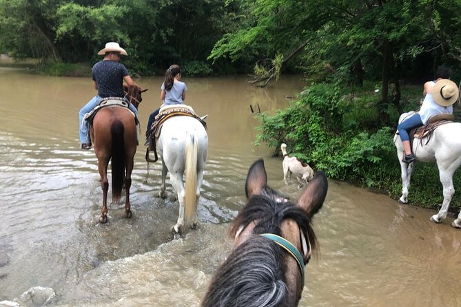 Horseback Riding Experience in Sierra Madre Mountains - Puente Colgante El Jorullo: The 150m Bridge Walk Moment
