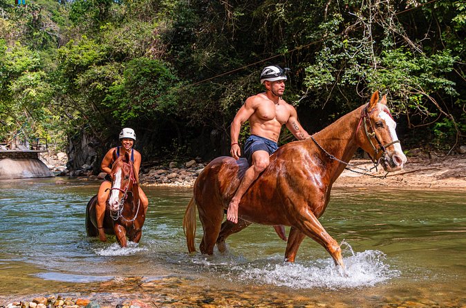 Horseback riding in the mountains of Puerto Vallarta - Flora and fauna talk, and how to make it worth listening