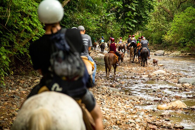 Horseback Riding Tour in Sierra Madre from Puerto Vallarta - What the horseback trail feels like, rivers, calm horses, and bridge moments