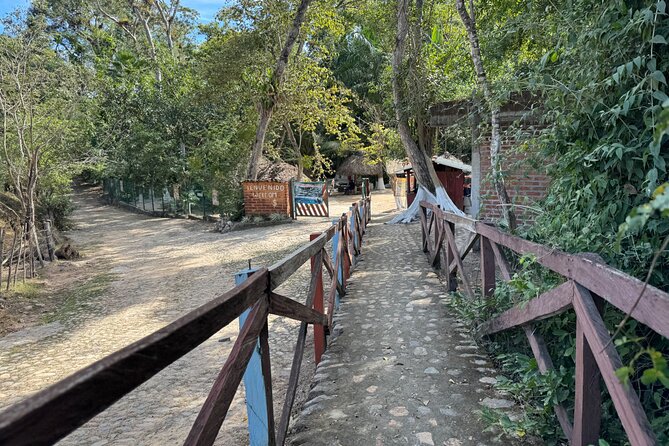 Hot Springs All Inclusive Relaxing Tour - The Tequila Distillery Stop: What You Learn and Why It’s Worth the Time