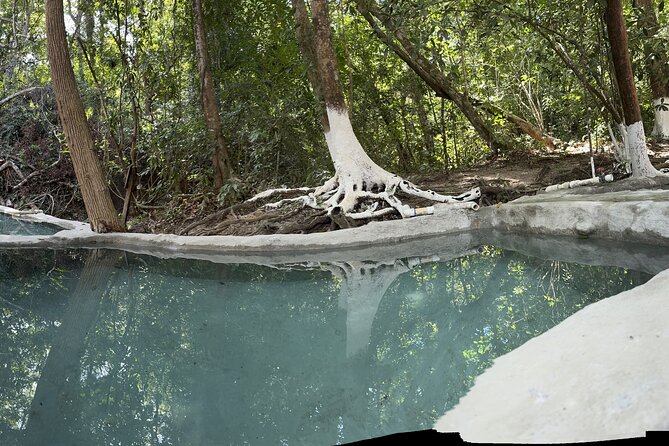 Hot Springs All Inclusive Relaxing Tour - Round-Trip Comfort: Van, Air Conditioning, and Small-Group Attention