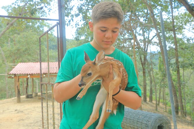 Hot Springs and Villages in the Sierra Madre for 4 hours - Guides, safety, and that first-time learning curve