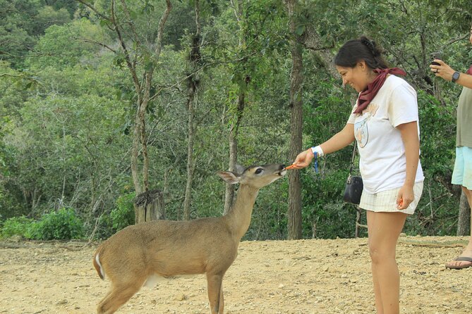 Hot Springs and Villages in the Sierra Madre for 4 hours - Ride time to Los Llanitos: ATV or RZR through everyday mountain life